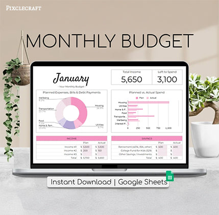 Monthly Budget Spreadsheet | Pink Aesthetic Template | Simple Annual Finance Tracker | Personal Budget Excel | Easy Google Sheets Planner | Digital Financial Organizer